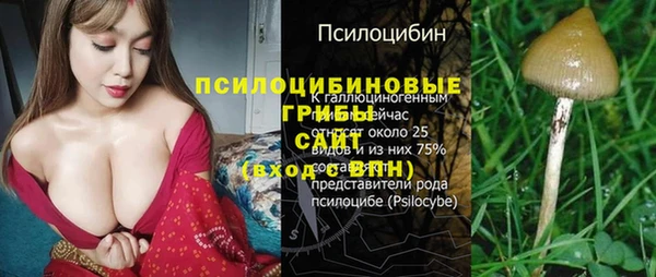 ECSTASY Осинники