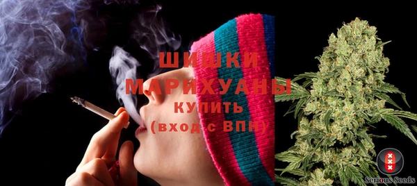 винт Осташков