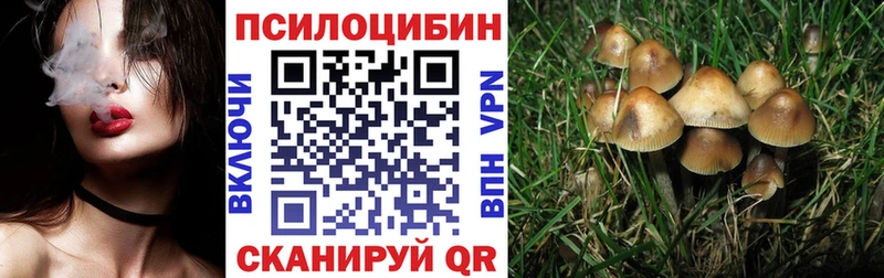 ссылка на мегу как зайти  Багратионовск  Галлюциногенные грибы GOLDEN TEACHER 